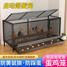 鸡笼子家用室内自动出蛋鸡笼防黄鼠狼大号加密网片鸡笼鸽子笼户外