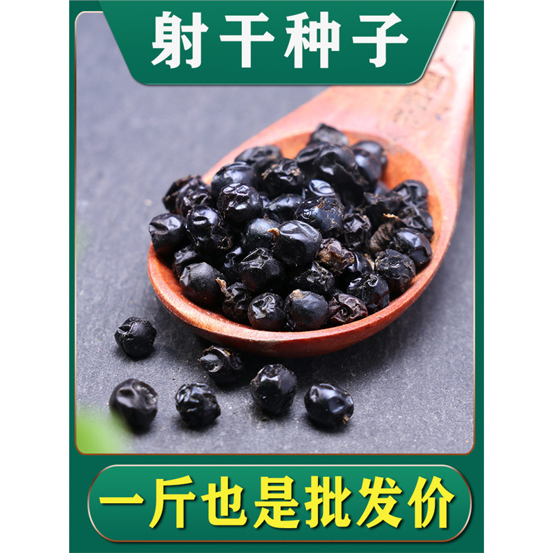 射干种籽优质散装国产材种子春秋季播种观赏草药籽盆栽苗