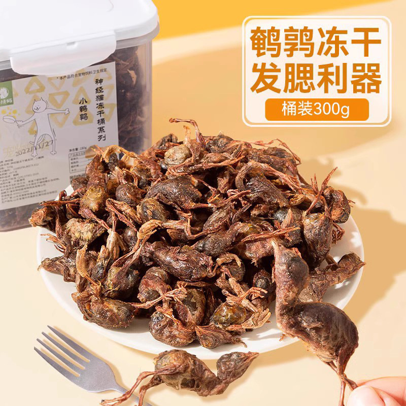 Alimentos nutritivos para perros adultos, perros, perros