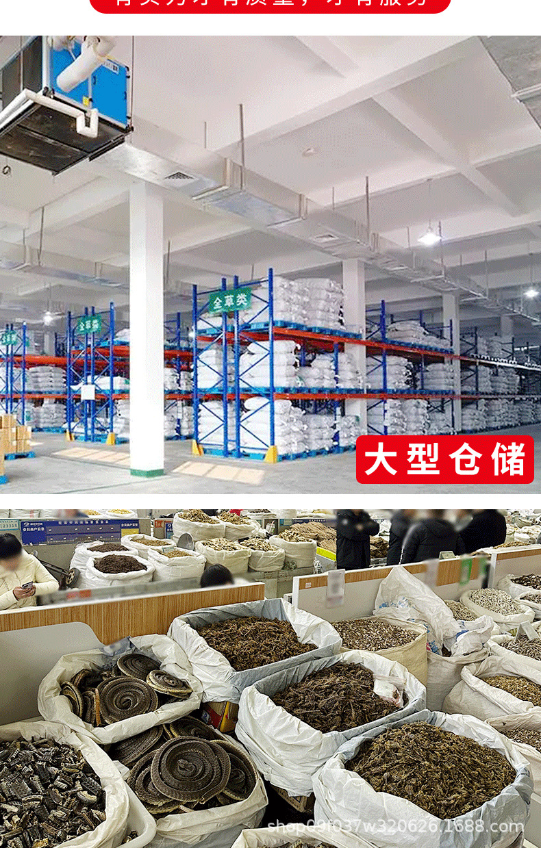 Sha Yuan Zi Astragalus Seed 500g Dried Herbal Tea Bulk Chinese Herb in use