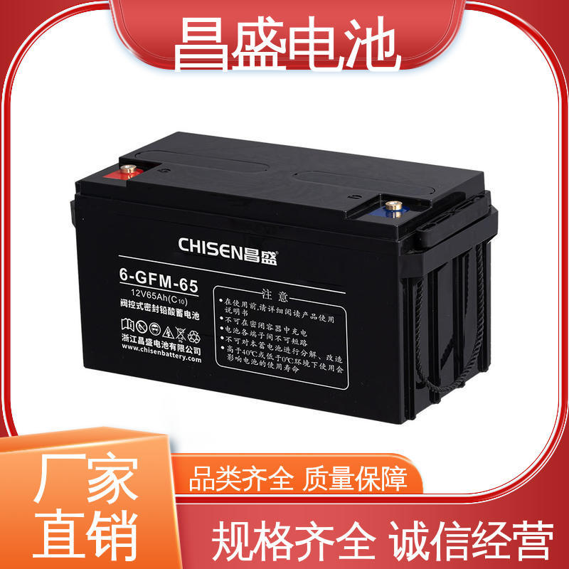 昌盛 6-GFM-65 ups电源 免维护蓄电池 邮电通信系统 厂家直供