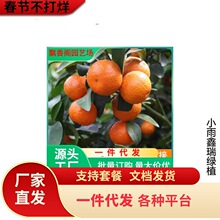 һ�����l�V���޽�ɰ�ǽ��Ә����҃��������ӹ������ĕ�����ɳ����