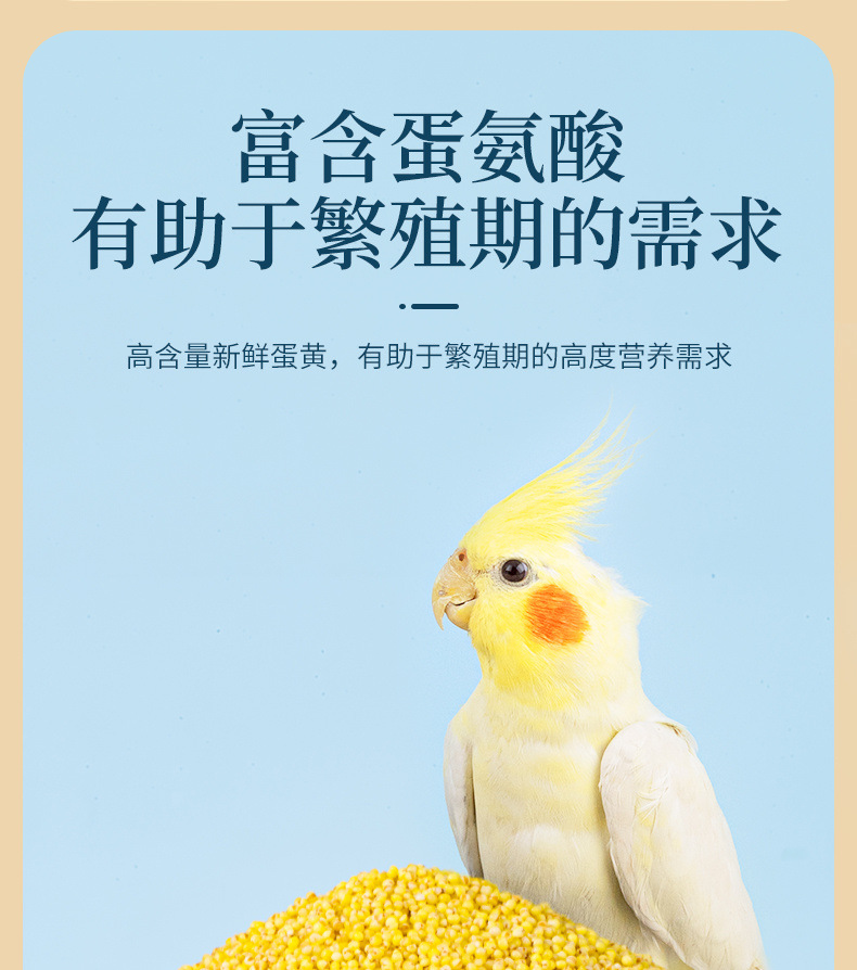 2fd1c6d6-93f2-46b4-bf61-a3ce8f8467db.jpe