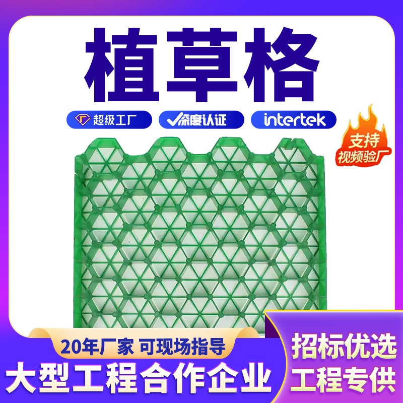 植草格花平口塑料网格停车场植草板绿化砖优质材料hdpe土工材料