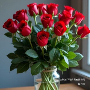 99�tõ����ϻ���ֱ�l�r��õ�廨�����m�����_���tɫõ���滨���l