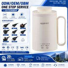 跨境外贸专供办公电热水壶迷你便携智能控温烧水壶加热壶带长手柄