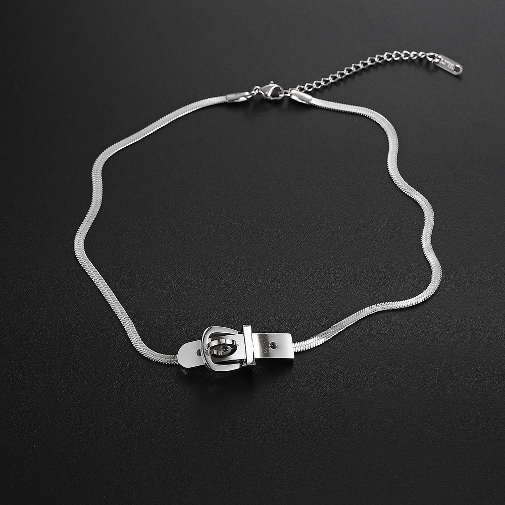 304 Stainless Steel Chain Material snake chain Chain Type Hip-hop Solid Color Titanium Steel Polishing Women's Necklace