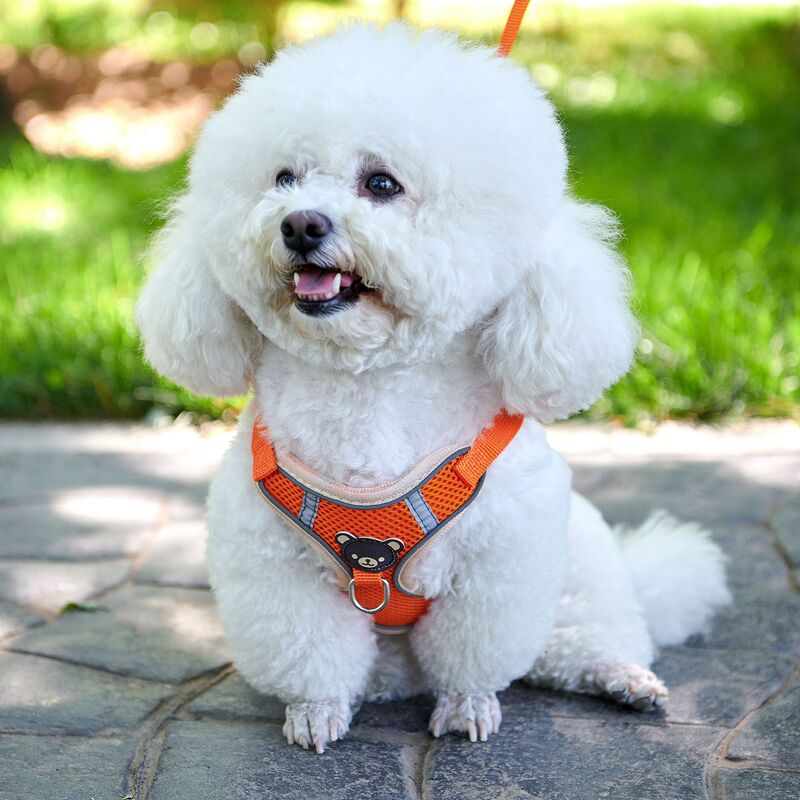 Ready Stock Wholesale Pet Harness Traction Rope Dog Walking Rope Pet Supplies Dog Leash Vest Style Dog Rope Cross-Border