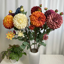 ĥë۴ ܛbӼҲÔ[ˇ czӰ߷滨廨