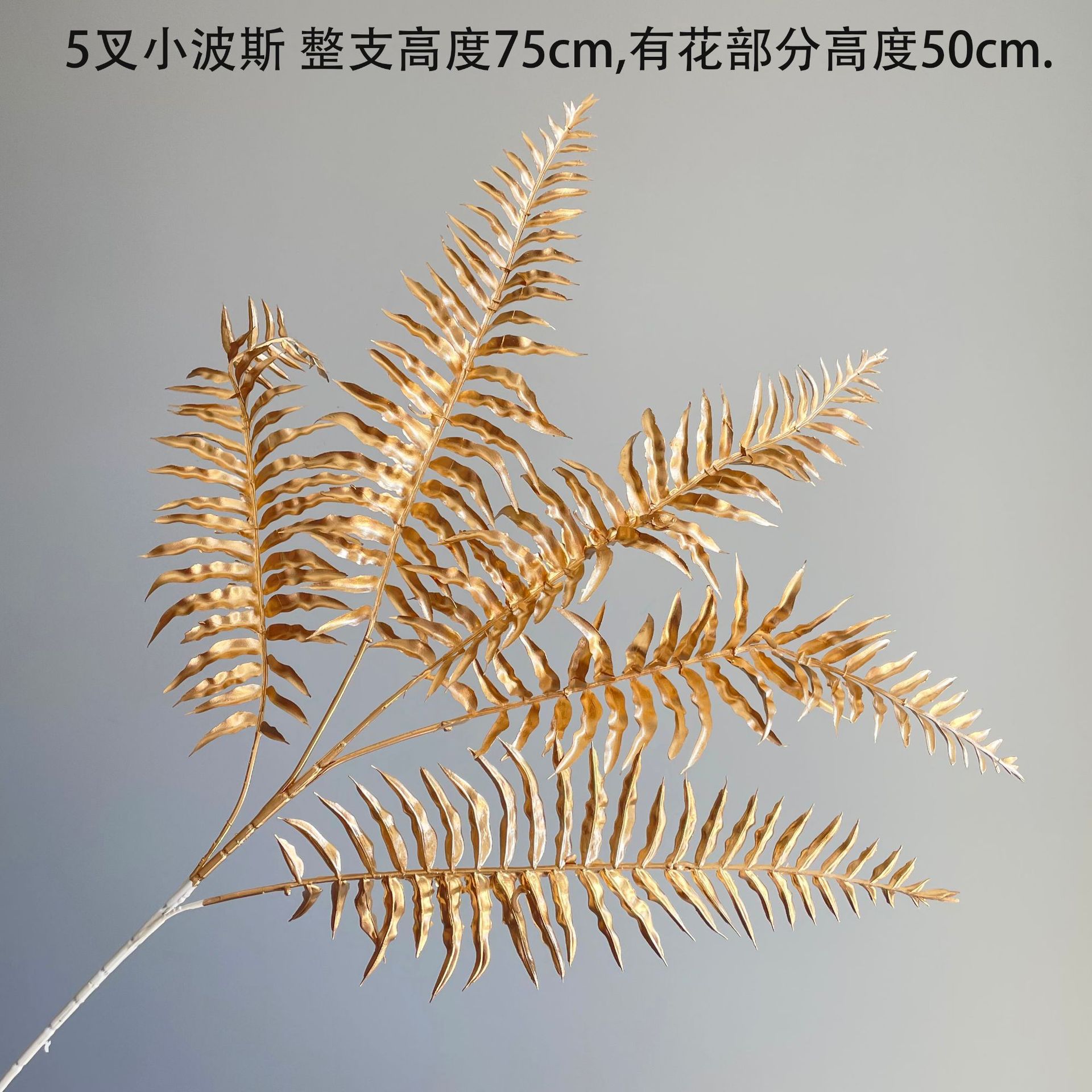 5 포크 페르시아 잎