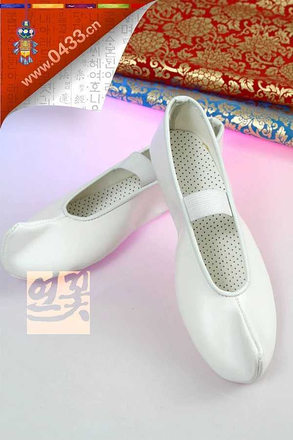 Dance Shoes, Ethnic Shoes with Hook, Flat, Leather for Adults and Children