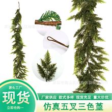 ���R�d�羳�����}�Q�b��h��֬����ɰ��ٗl�}�Q���}�Q�䲼��