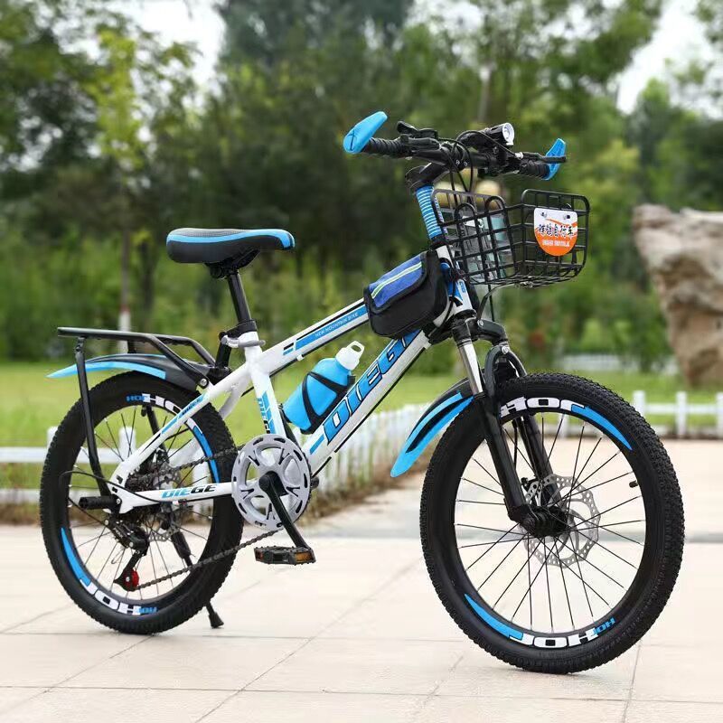 Shock-absorbing bike shifter (brake handle), set disc brake