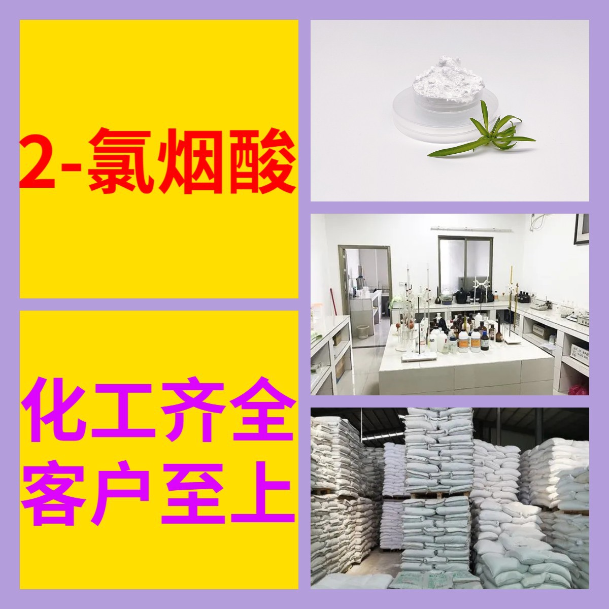 2-氯烟酸 化工大全品种齐全全国发货24小时服务库存大上海江苏