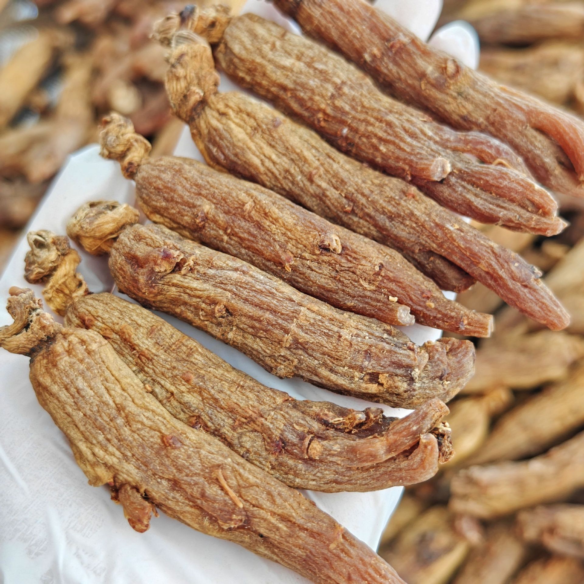 Premium Sugar-Free Red Ginseng Whole Roots and Slices Hong Shen Changbai Mountain 12 Year 500g Bulk Pack specifications