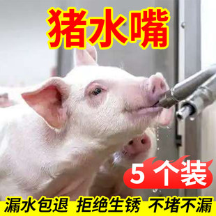 �i�ˮ���i���ˮ���Bֳ�����P��iˮ���Ԅ��i��ˮ���^������ˮ��