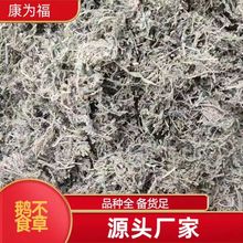 �Z��ʳ�� �Z��ʳ ��ݴ ���Ӳ� �u�c�� ��ș���Z��ʳ�� ���