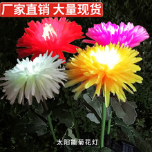 ����̫��ܻ����ջ���ͥԺ���@���ز��ƺ�����^�S�ҬF؛