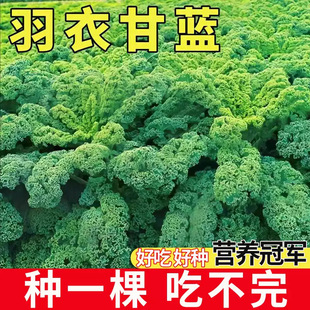 ���¸��{�N����ʳ���ﶬ����ɫ�߲������ļ����Բ�����{�˸��m��