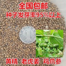 ����ș���S���N���u�^�S���໨�ϻ����uצ��צ�Ӆ��S�u������N��