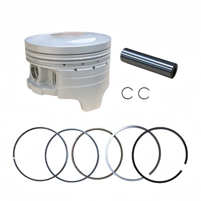 Piston, piston ring, piston pin TYAN TY190 TY200