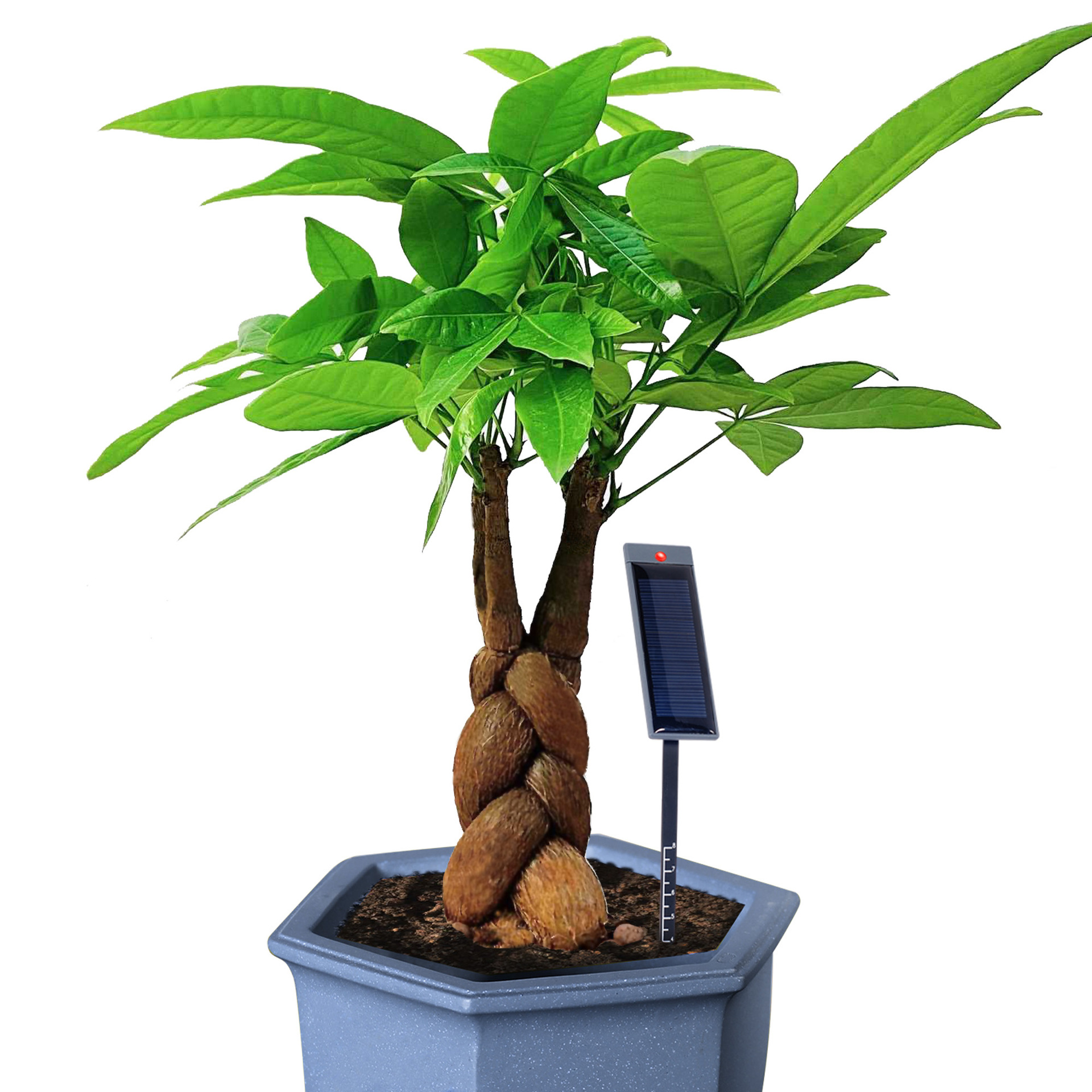 微信图片_20240402110828