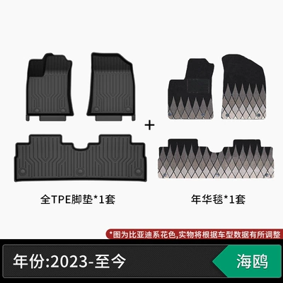 Modelə uyğun ayaqaltı custom-made car mats, automotive-grade - 23-25-models-byd-seagull-tpe-floor-mats-starry-sky-carpet