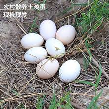 土雞蛋大個破損包賠新鮮鄉村放養土雞蛋散養農村農家