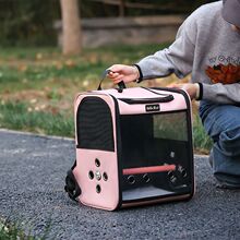 �����W�^�\�p�������y�B�\͸�Ᵽů��������y�������������B��