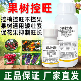 �����ظ��٘��Ҙ����Ә��O������䰫�������������Ư��L�ٻ��ٹ�