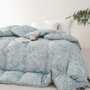 Class a Floral 100 Pure Cotton 95 White Goose down Quilt Core Double Spring & Fall Quilt Thickeneded Warm Winter down E18