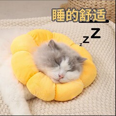 エリザベスリング猫の首輪はノミを舐めないでください。