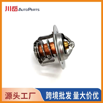 thermostat (wax thermostat) – Thermostat