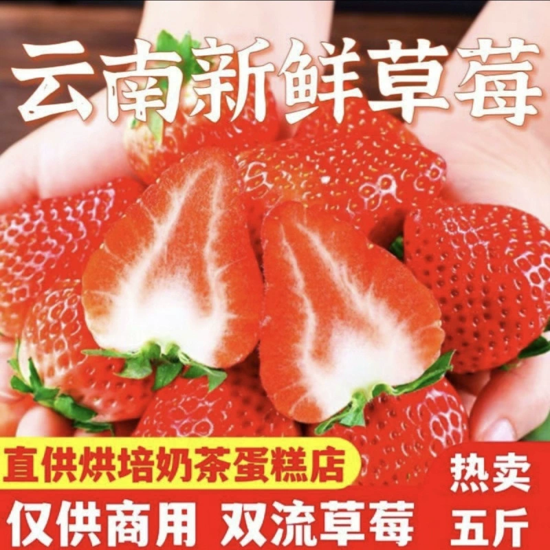 Свежие ягоды Юньнань Шуанлиу, коммерческие готовые к употреблению молочные чайные консервы, целая коробка, 5kg шт., оптовая продажа