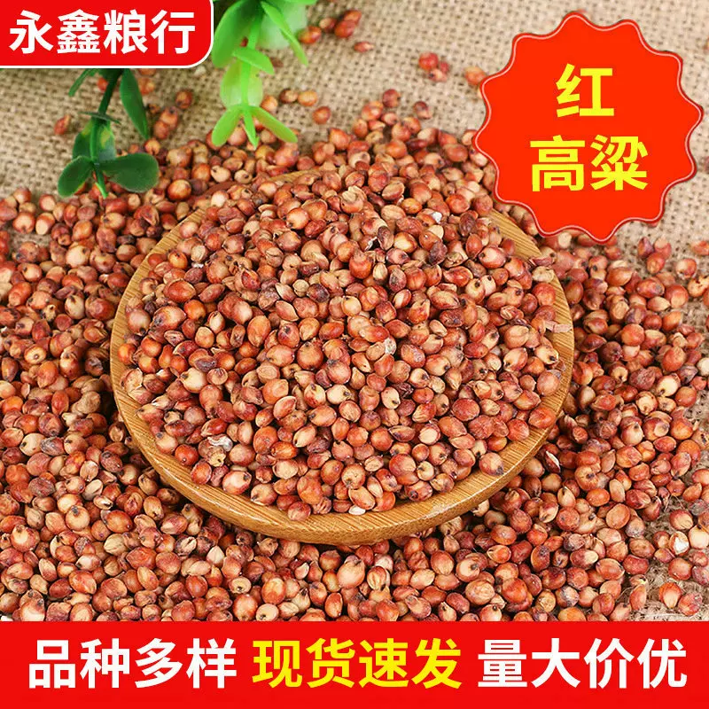 大量现货五谷杂粮袋装高粱 食品酒厂原料酿酒高粱批发 酿酒红高粱