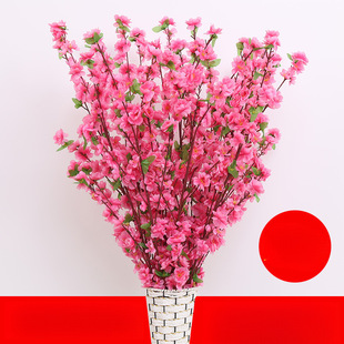 �����һ�֦�ٻ���֧�ɻ��ѻ��͏d�[����֦�D÷�������٘��쾰�b�