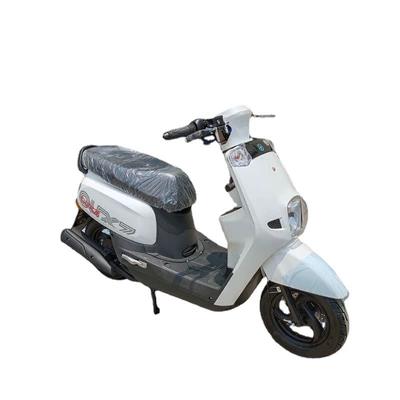 Motosikletlər Standard, Efi, Coolqi S5 Model