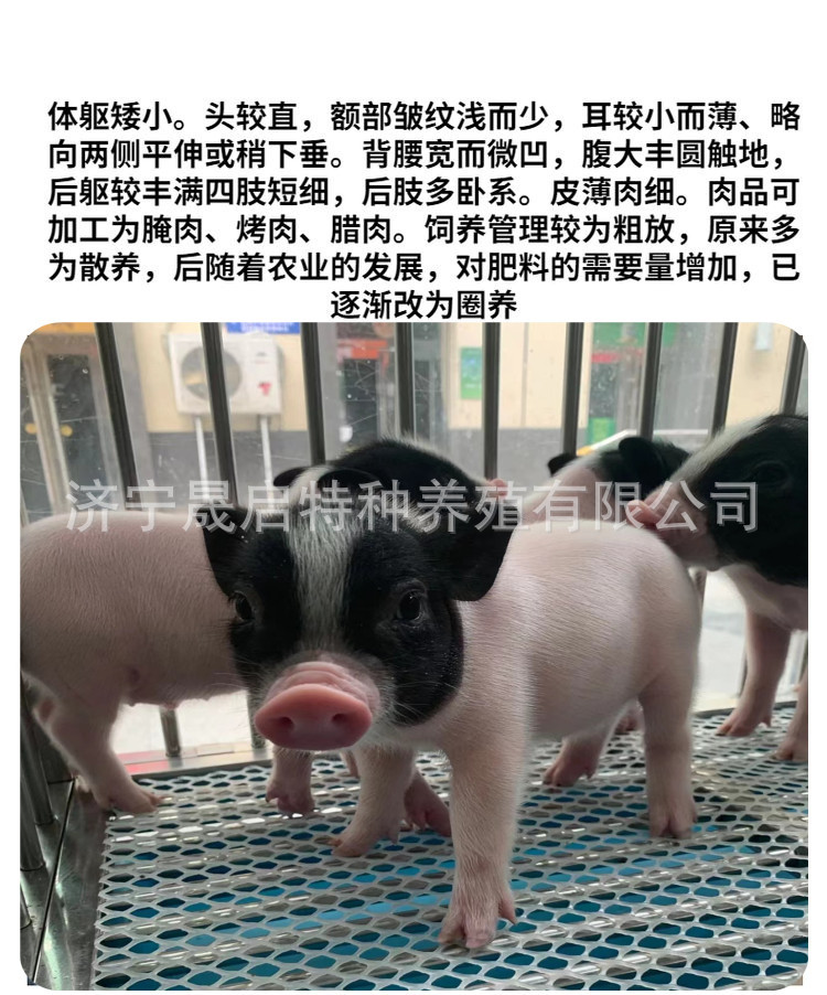 6_副本.jpg