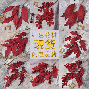 �¿�tɫ�Ƽtɫϵ���滨��c���� �Ƶ�·���b廨�������ϼٻ�