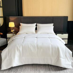 Hotel and B&B Hotel-Style Quilt, Winter Quilt Core, Thickeneded Warm Single and Double Quilt, Spring & Fall Quilt, Four-Season Quilt