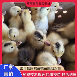 С�S������w�������г����������н��ϵ�����ˮ�����N��������