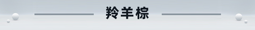 羚羊棕.jpg