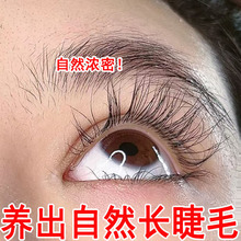 ��ëҺ���w�LҺ�غͲ��̼������ܾ��N��ë��I�BҺ��ë��׶���Һ