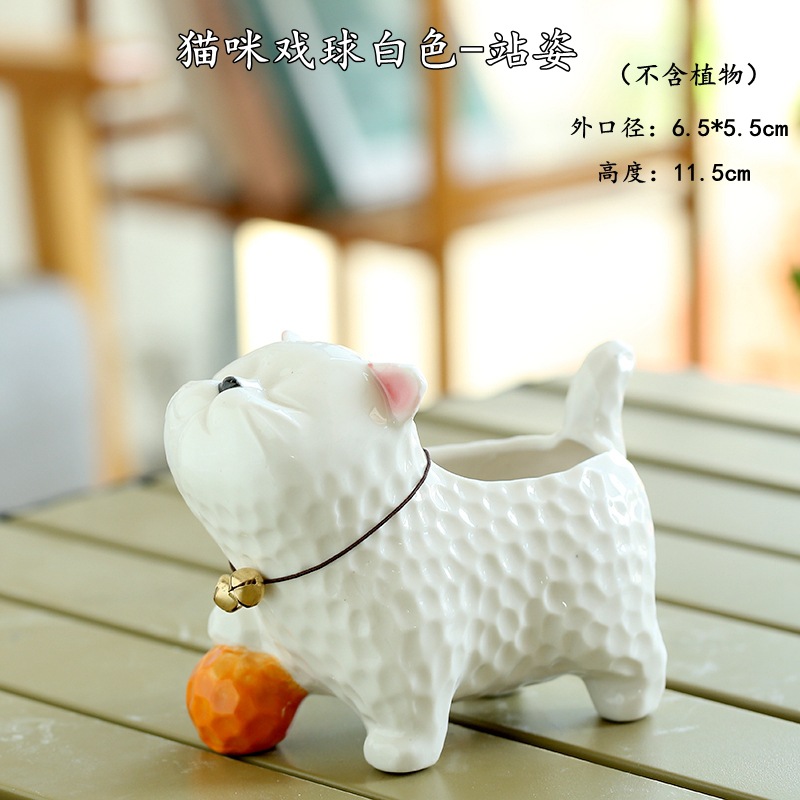 猫咪戏球白色-站姿