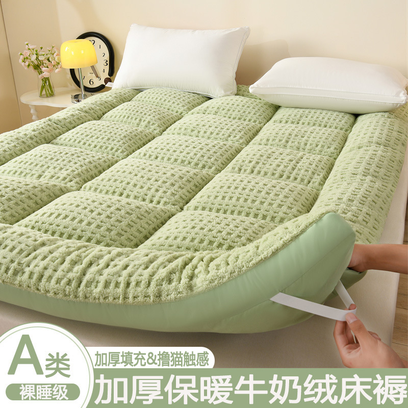 Cross-Border Thickened Warm Milk Velvet Mattress Student Dormitory Plus Velvet Cushion Winter Tatami Mattress Skin-Friendly Cushion