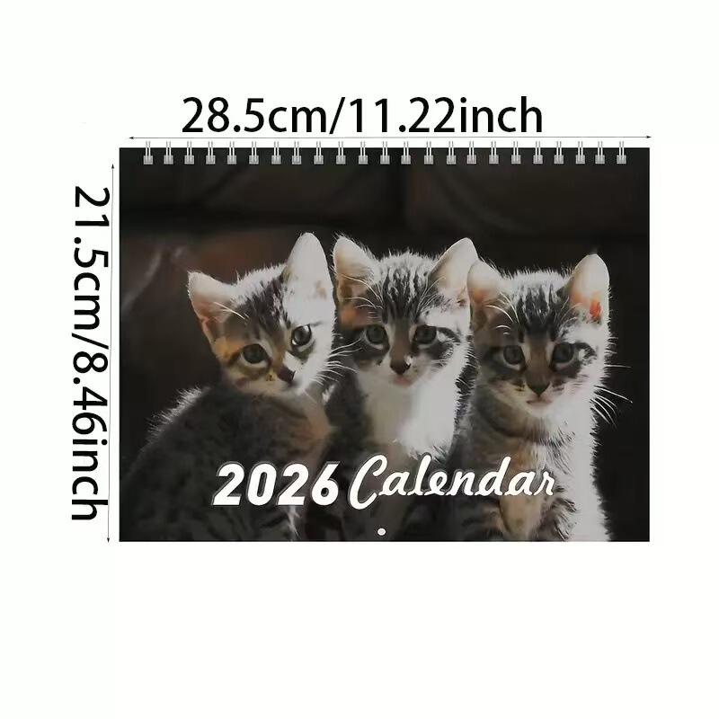 2026年热销出口外贸亚马逊新款日历倒计时英文挂历日历款式多多现|undefined