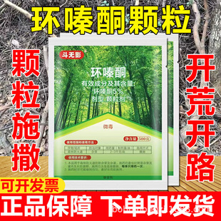 �h�ͪ�ߝ�Ȝ��ľș�������s������s����������ș���݄�����