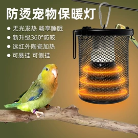 其他小宠用品;鸟笼;鸟类