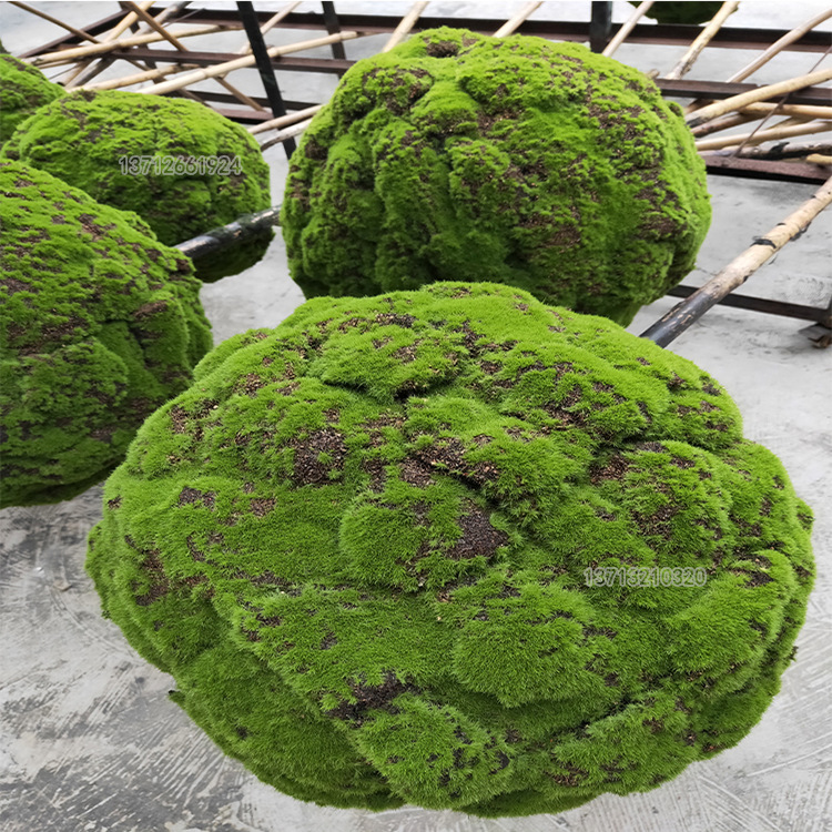 Simulation of moss ball implanted pseudo -moss moss ball micro…