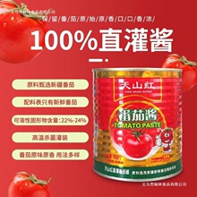 天山红番茄酱850g无添加直灌酱新疆番茄酱番茄酱家用西红柿酱